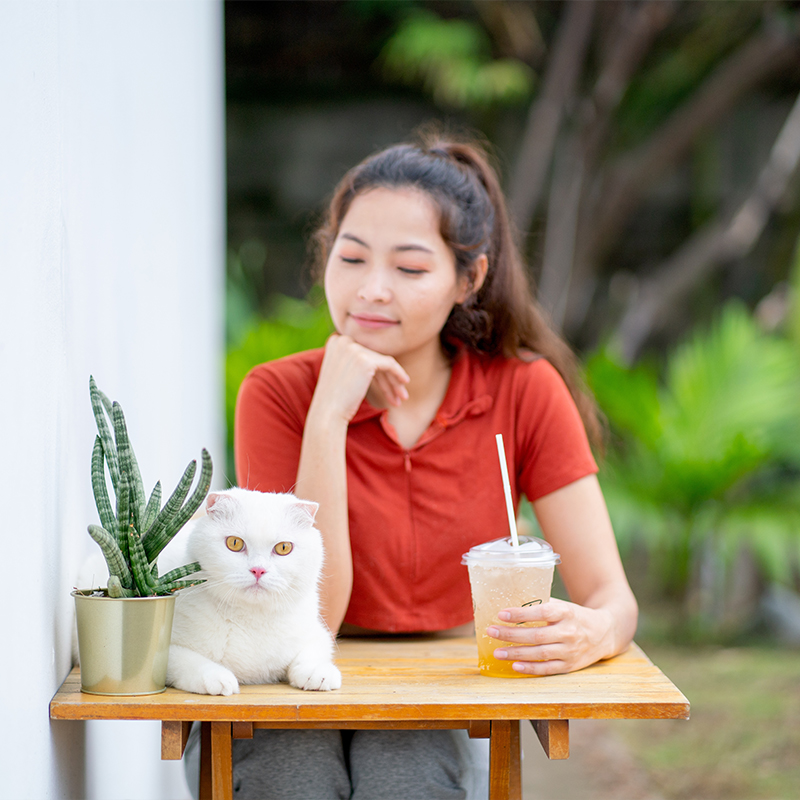 셀튠과 함께하는 반려동물의 일상